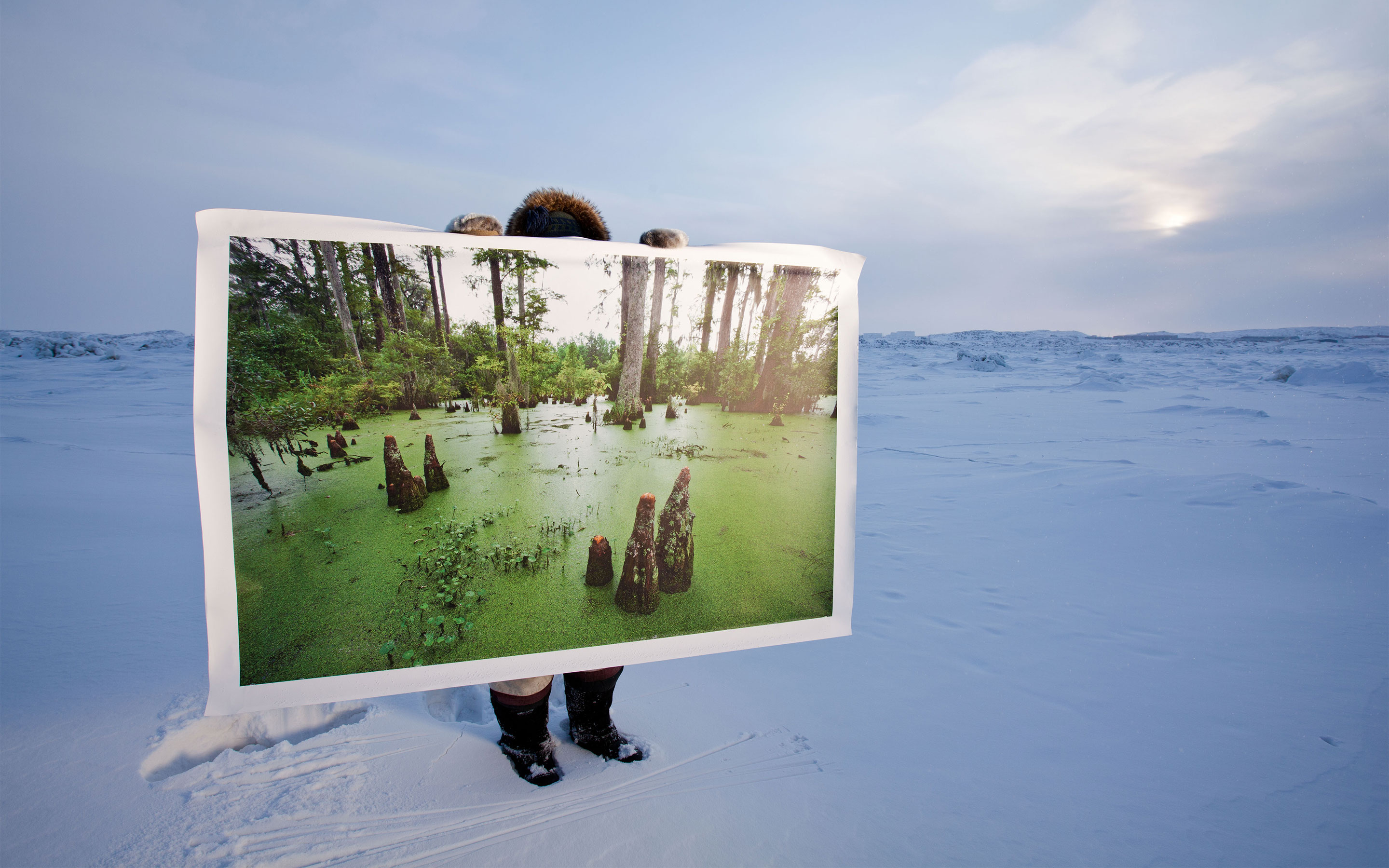 A man standing in the Arctic tundra holds up a large photo of a swamp.