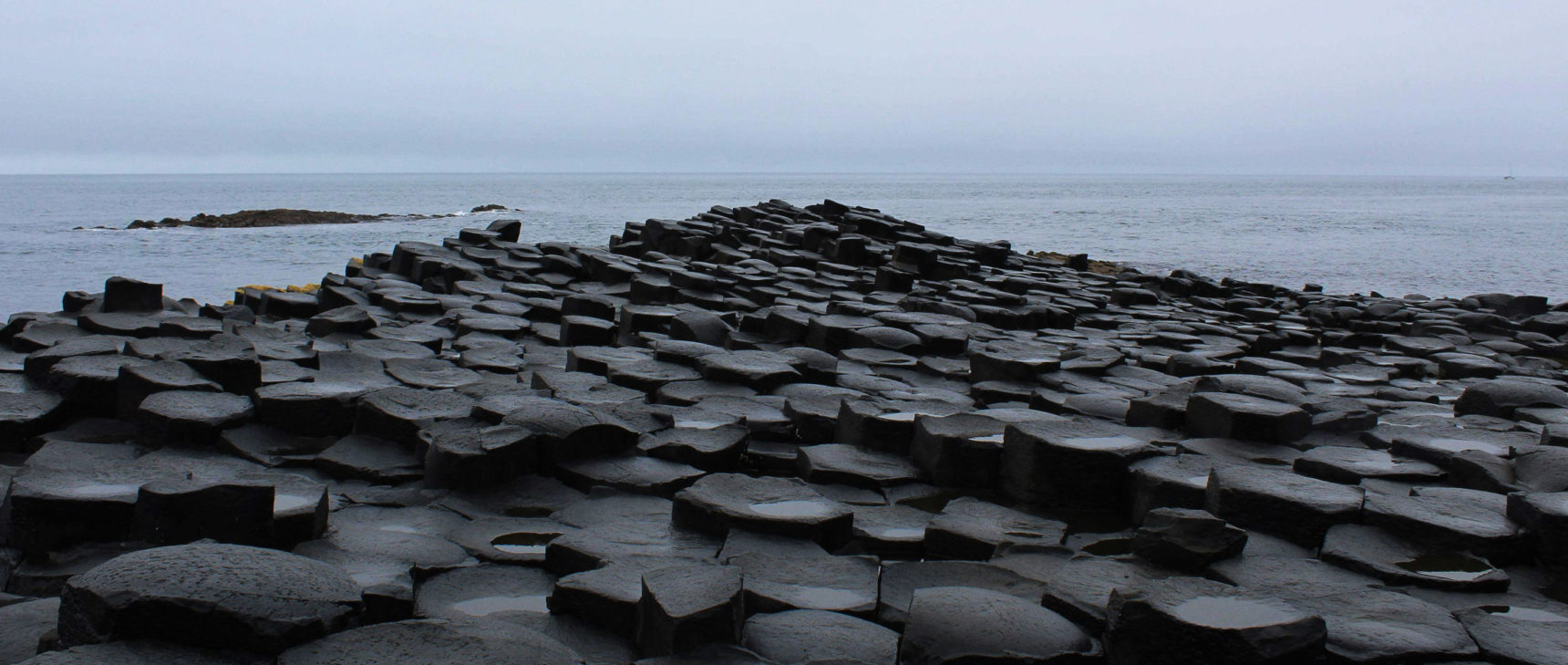 A landscape packed with foot-wide columns of rock of various heights.