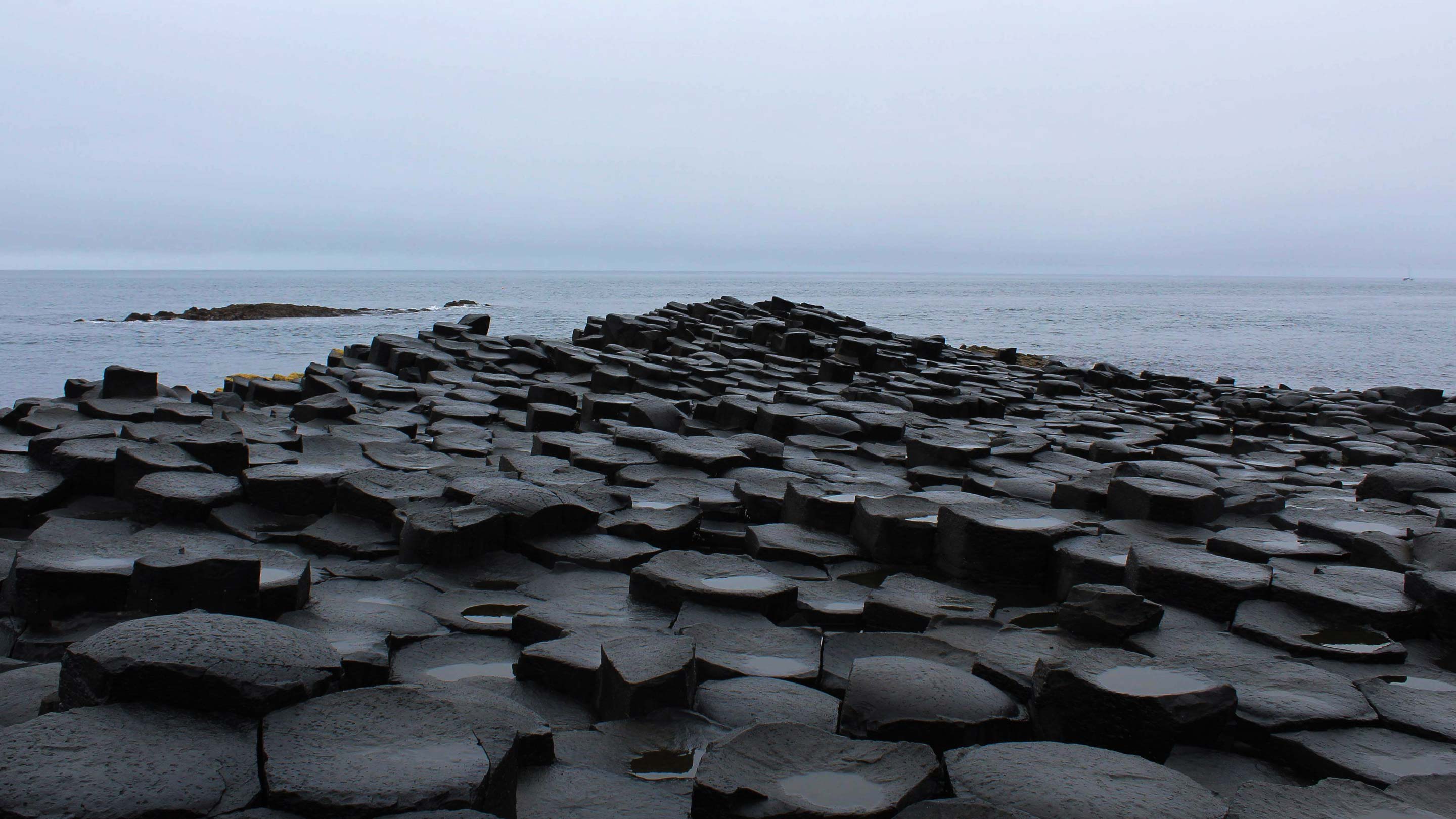 A landscape packed with foot-wide columns of rock of various heights.