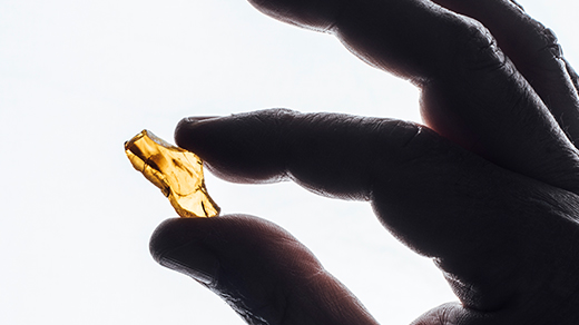 A close-up of fossilized amber.