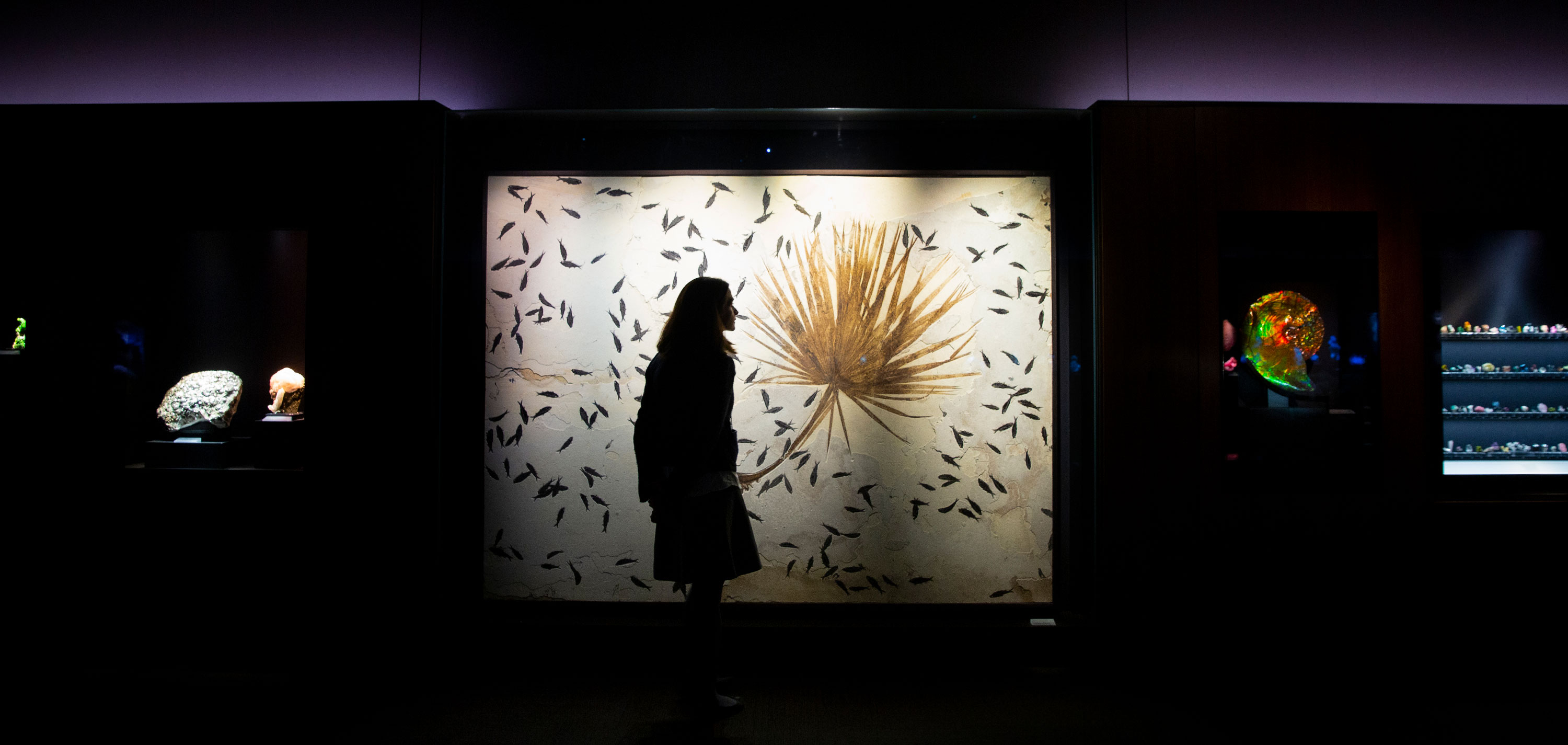 David Friend Hall at the Yale Peabody Museum of Natural History