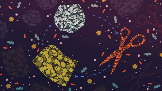 A rock, a piece of paper and a pair of scissors, each formed from a mass of microbes, are arranged in a cycle.