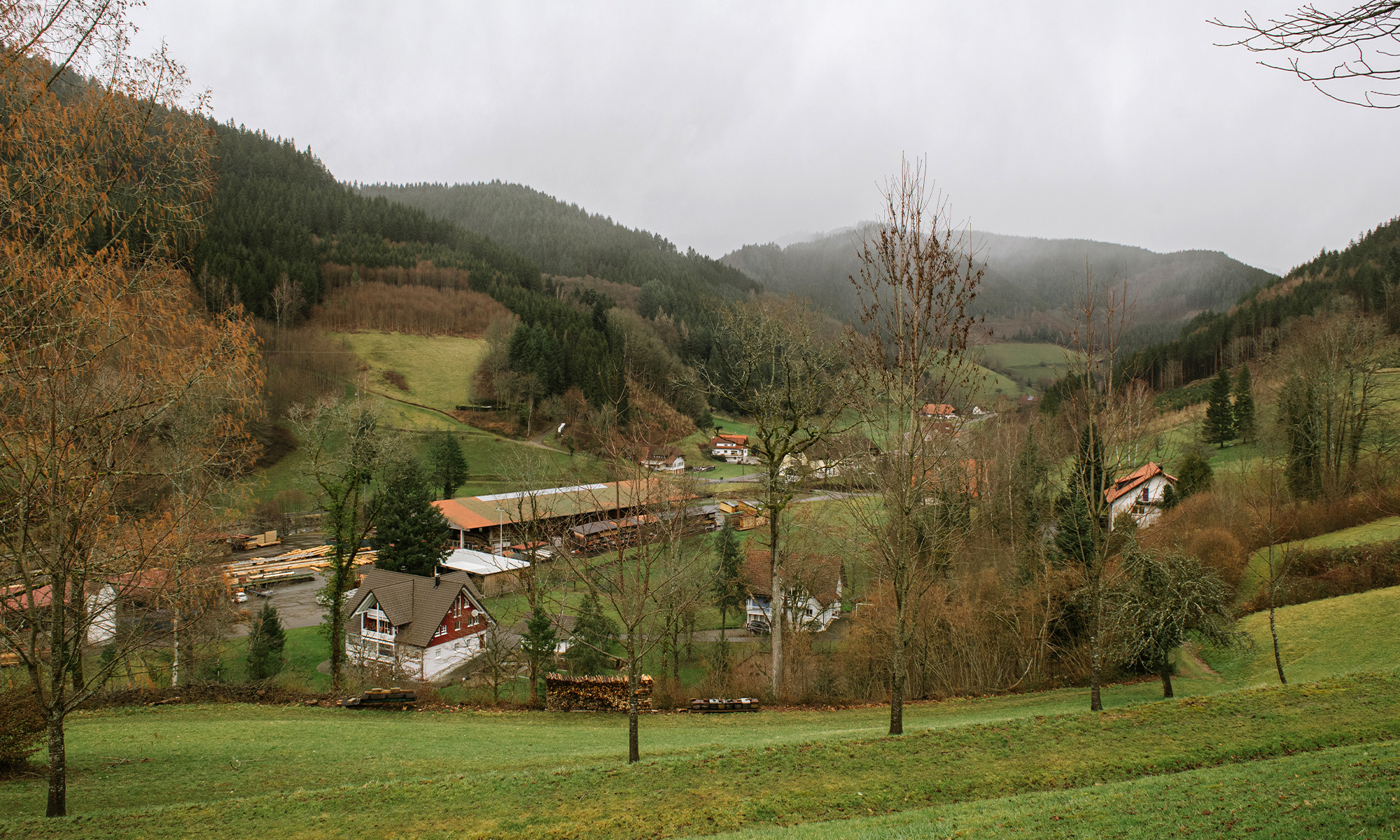 Photo of countryside near Oberwolfach, including green hills, forests, houses and other buildings