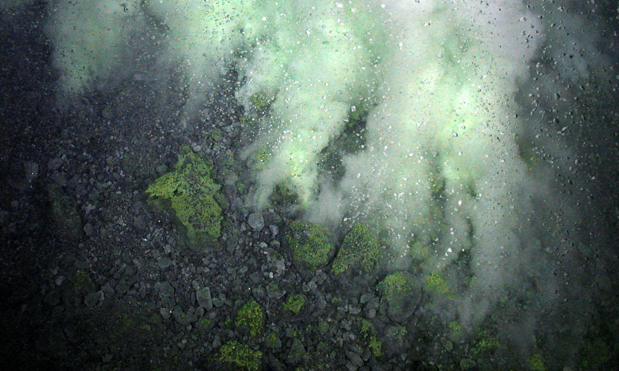 Gas bubbling up from the ocean floor, which is strewn with green-hued rocks.