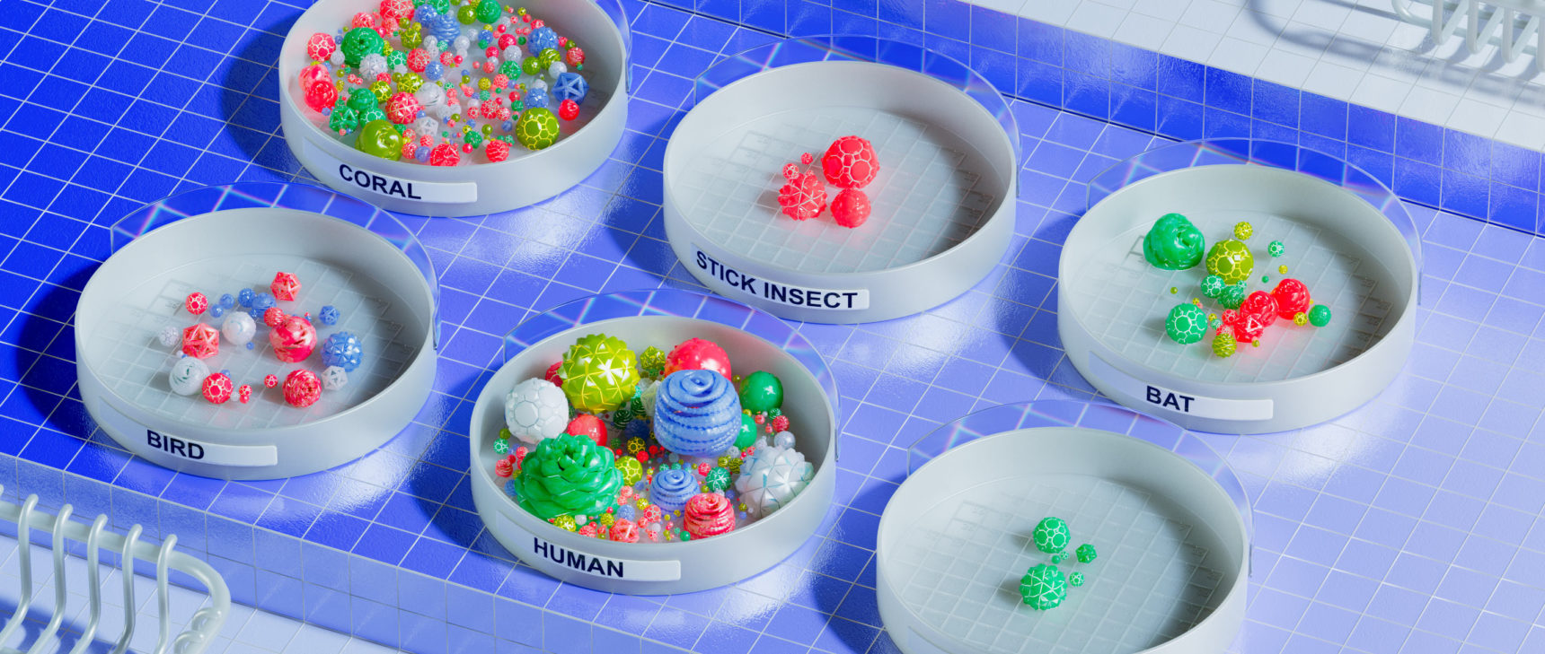 An illustration that represents the big differences in size and diversity in the microbiomes of six species.