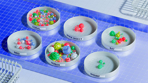 An illustration that represents the big differences in size and diversity in the microbiomes of six species.