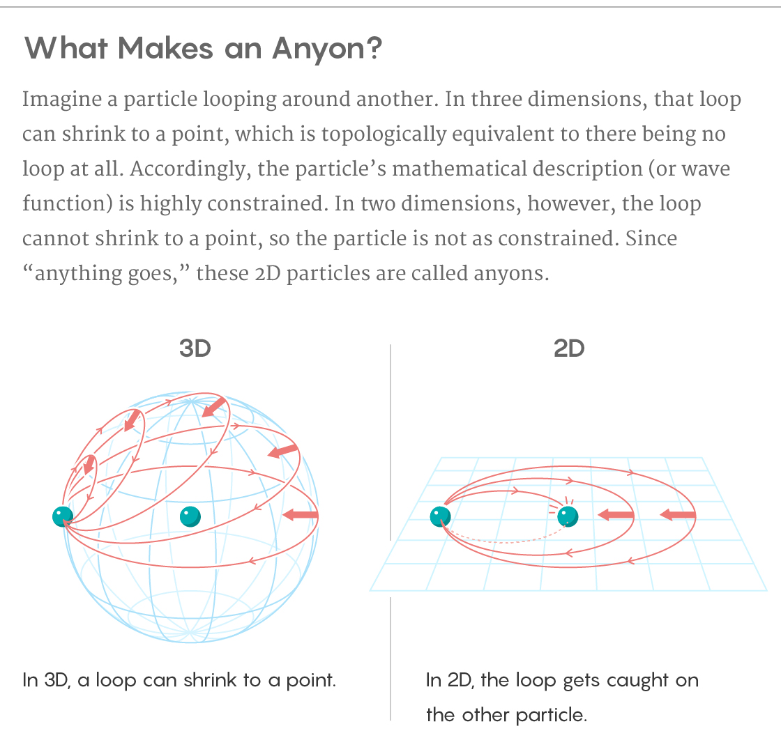 Loops in 3D and 2D.