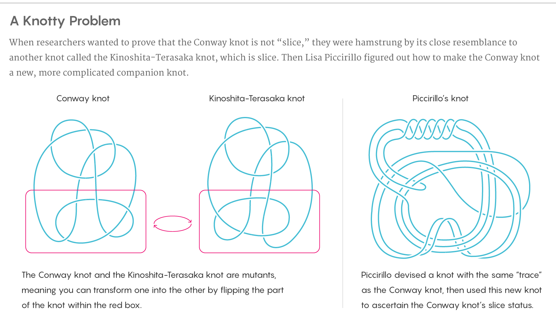 An informational graphic showing the Conway knot, the related Kinoshita-Terasaka knot and a complicated companion knot Lisa Piccirillo devised to help determine the Conway knot’s slice status.