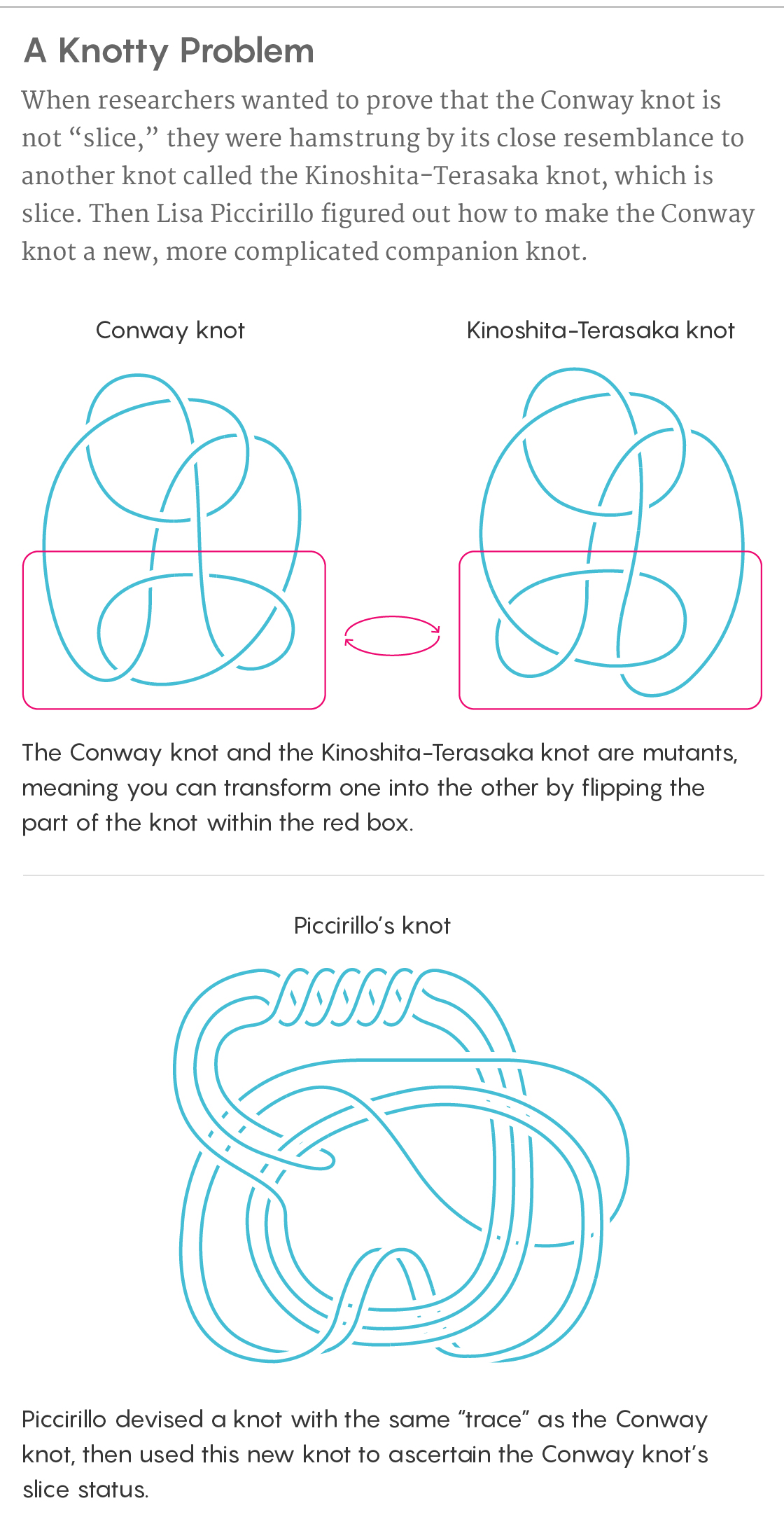 An informational graphic showing the Conway knot, the related Kinoshita-Terasaka knot and a complicated companion knot Lisa Piccirillo devised to help determine the Conway knot’s slice status.