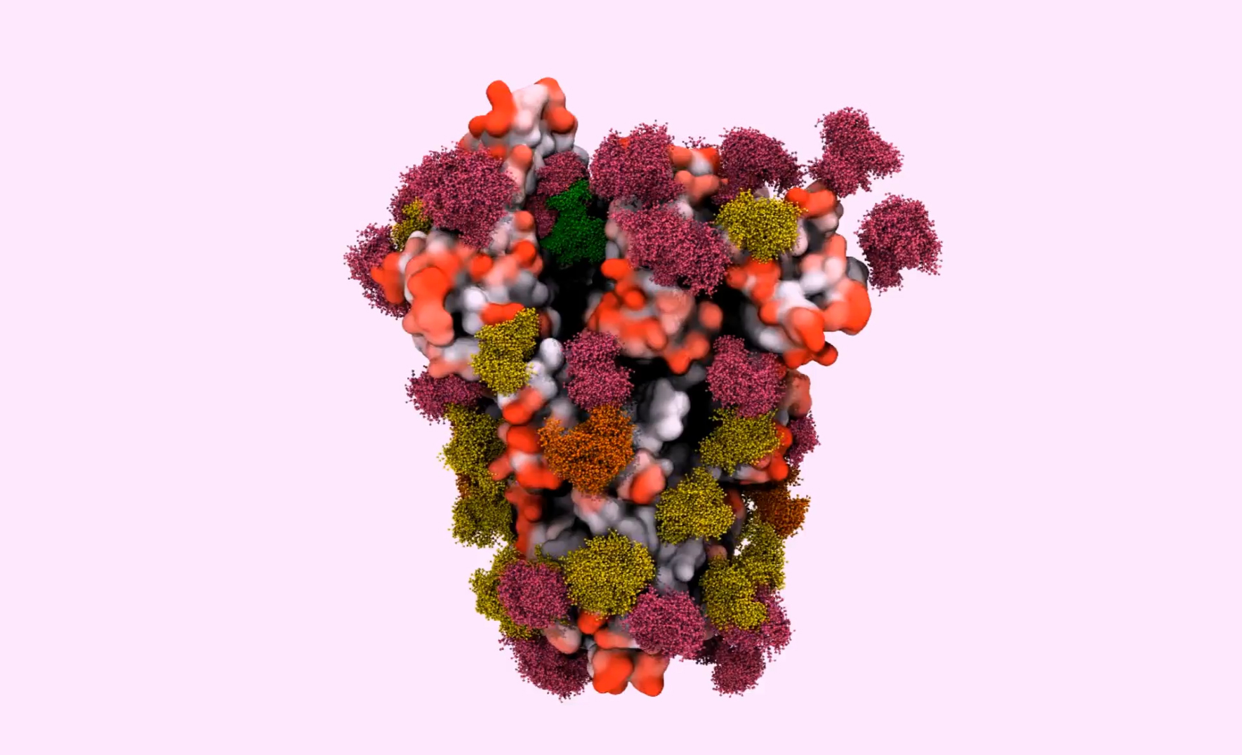 Computer model of SARS-CoV-2 spike protein.