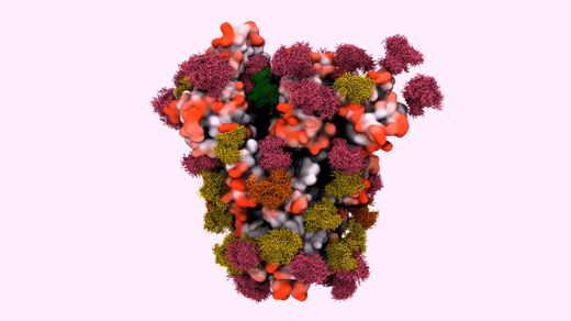 Computer model of SARS-CoV-2 spike protein.