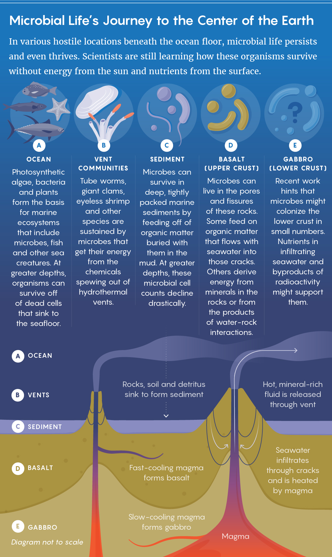 A cutaway figure that shows the different habitats for life beneath the ocean floor.