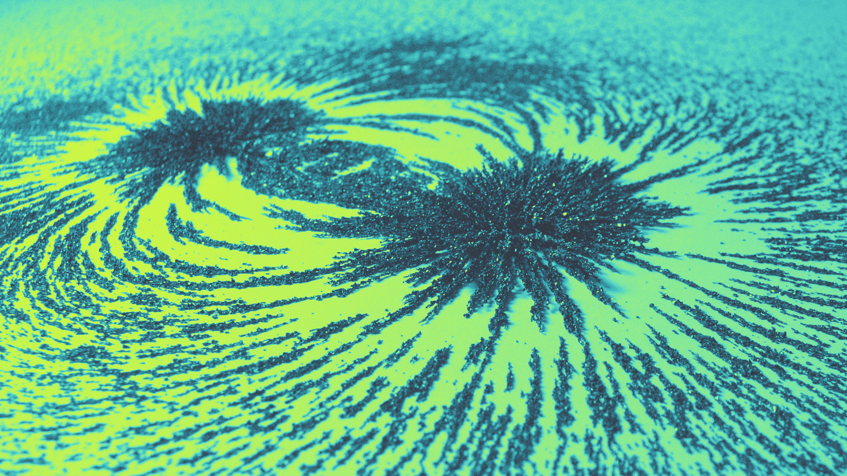 Photo of iron filings spread along magnetic field lines on a green and yellow background