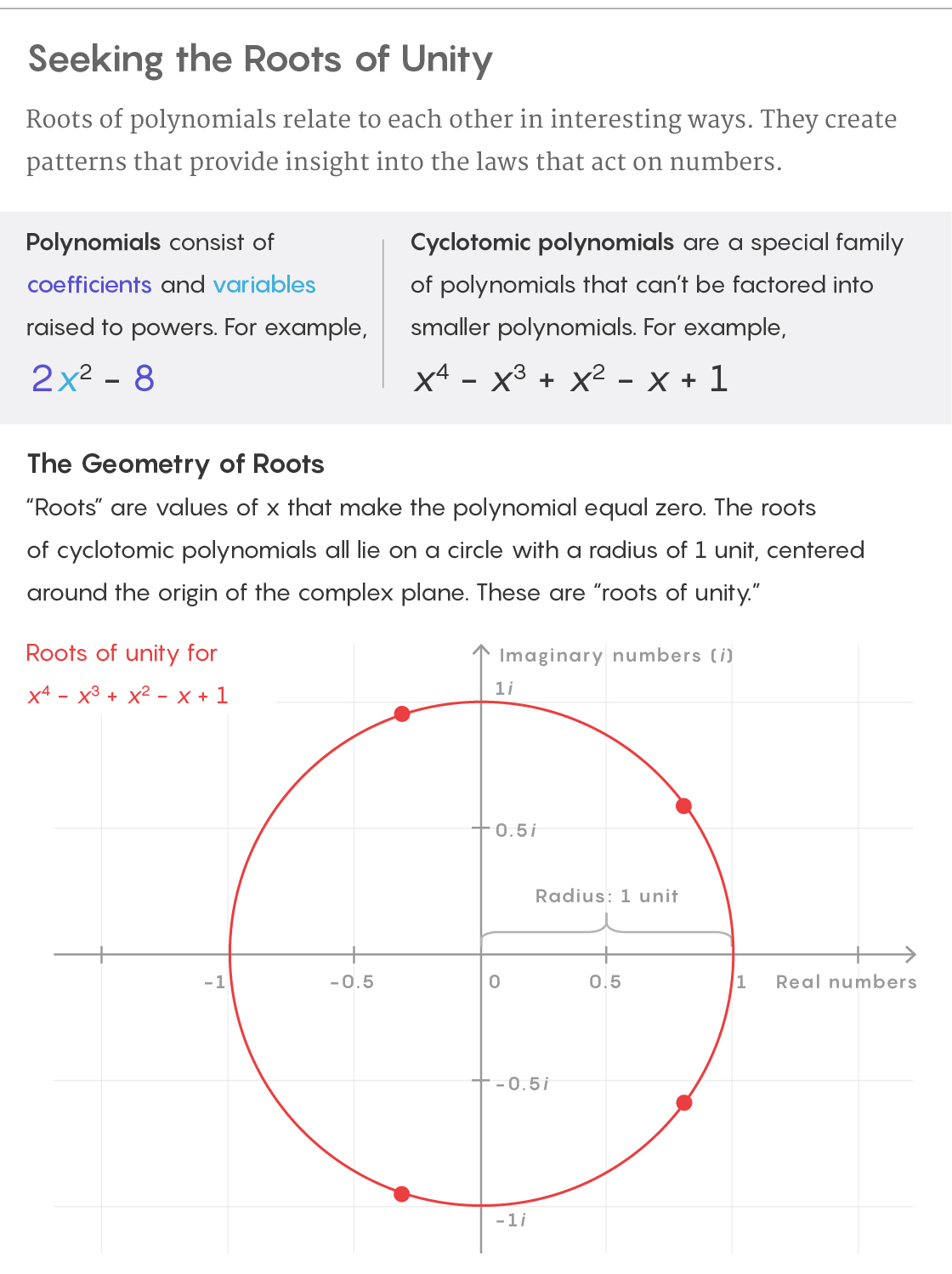 imple illustration showing the unit circle on the complex plane and explaining the roots of unity for cyclotomic polynomials