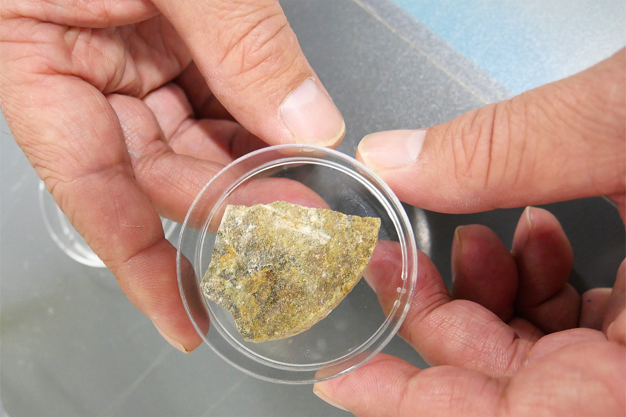 Photo of two hands holding a transparent dish that contains a thin section of rock.