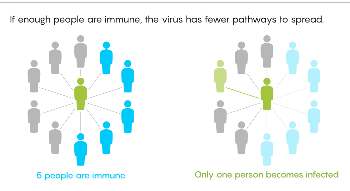 Diagram showing how it becomes harder for a disease to spread if more people are immune