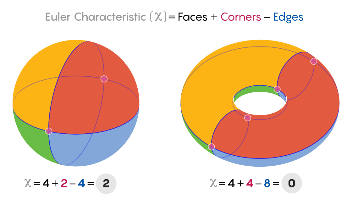 A graphic showing the Euler characteristic calculation for a sphere on the left and for a torus on the right.