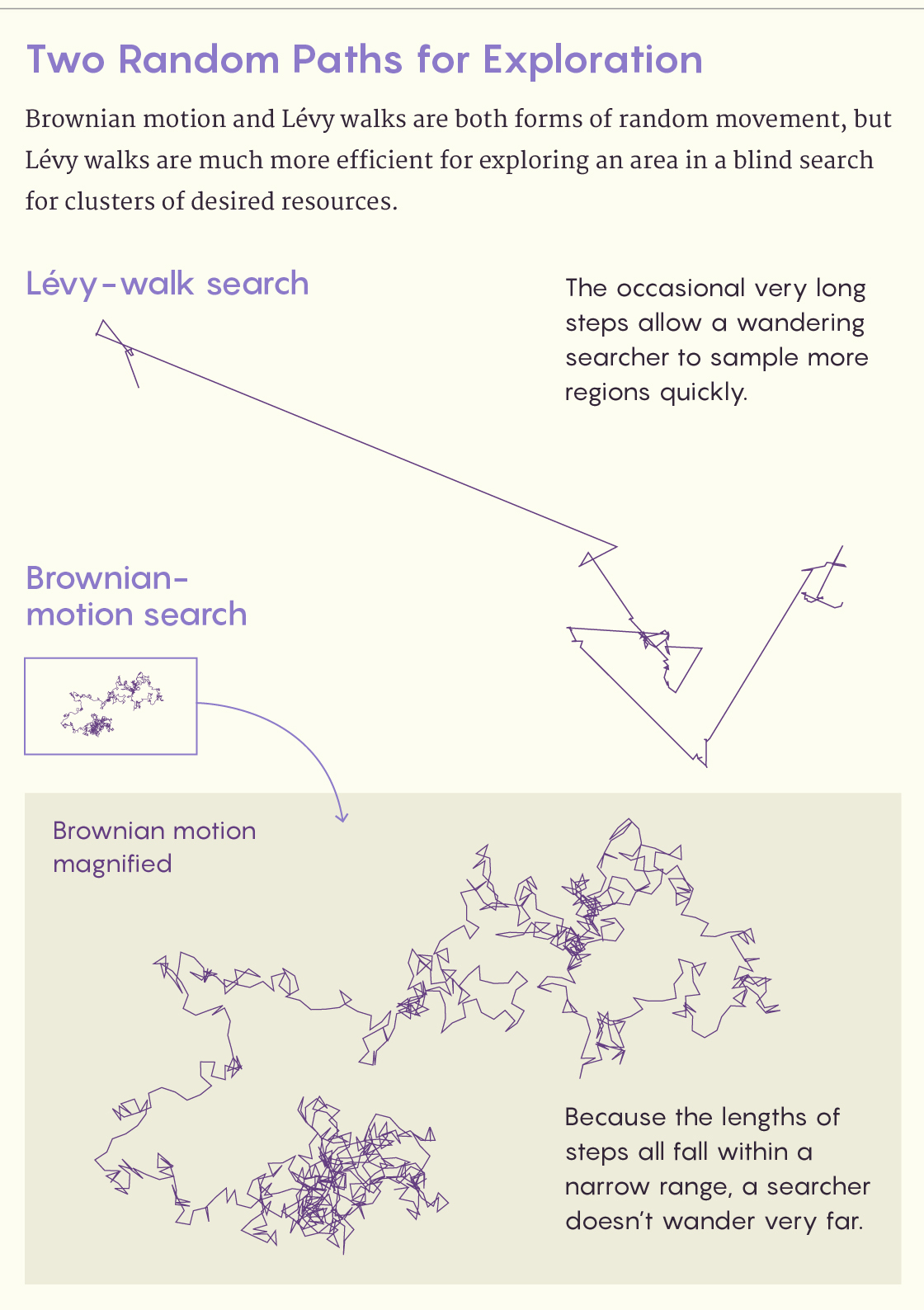 A figure that shows why Lévy walks are better for blind searches than Brownian motion is.