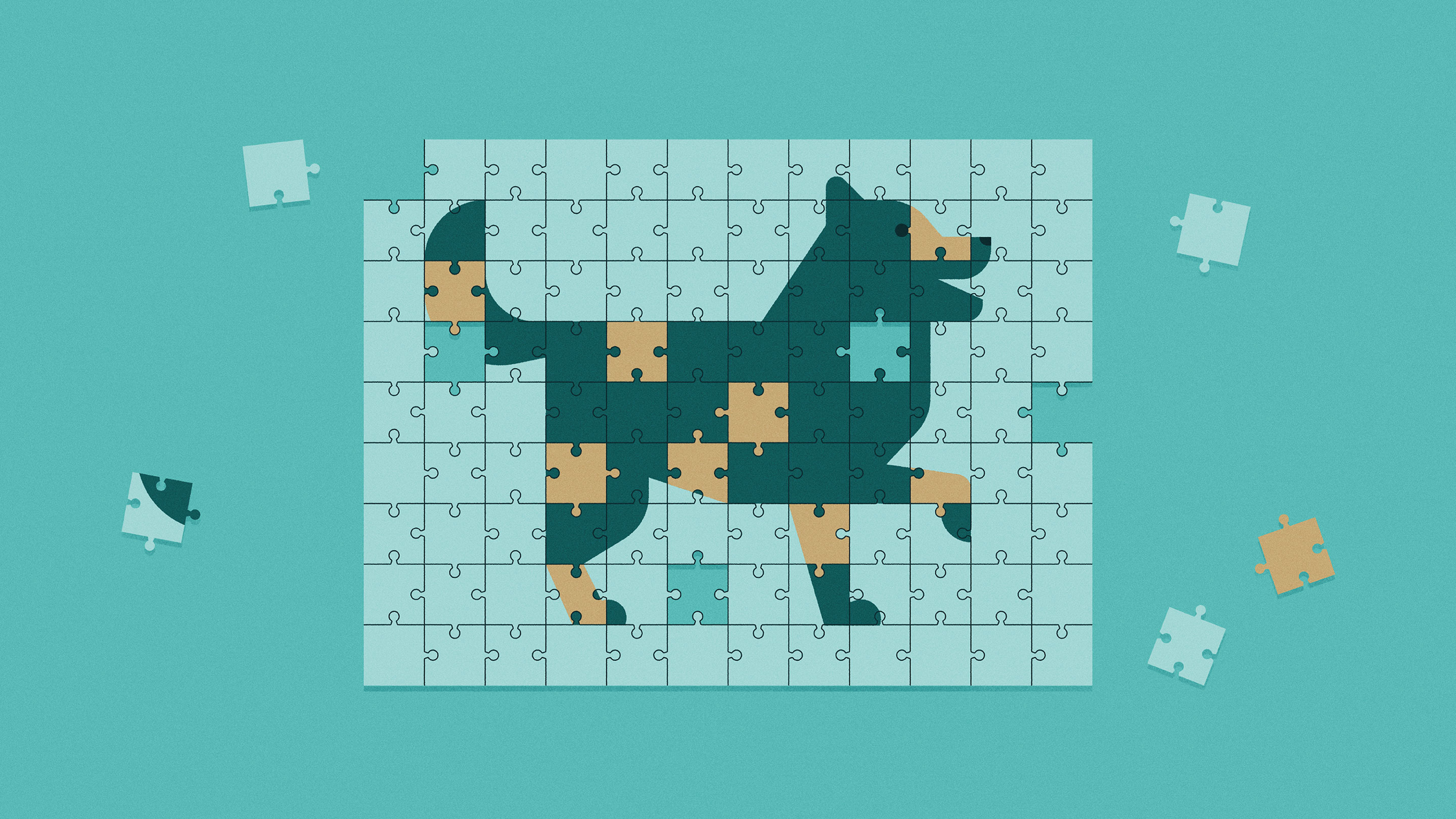 An illustration of a jigsaw puzzle that forms a picture of a part Pomeranian, part Siberian husky dog breed called a “Pomsky.”