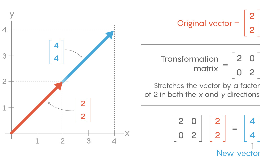 A graphic showing how a vector can be transformed by a matrix.