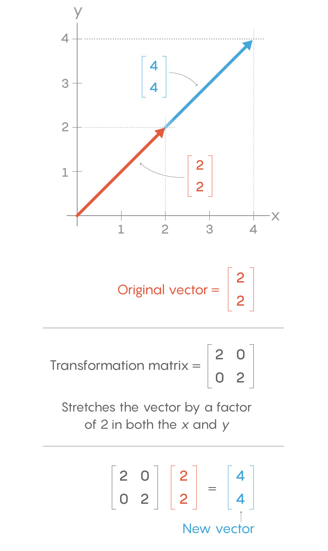 A graphic showing how a vector can be transformed by a matrix