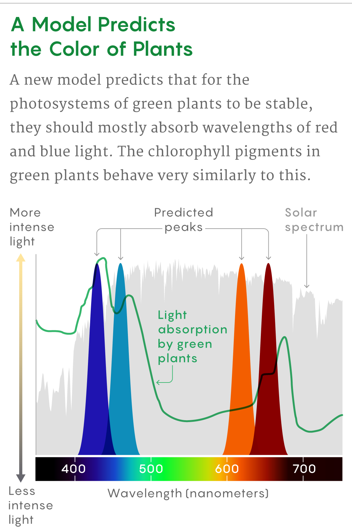 A figure that compares the absorption peaks for chlorophyll with the peaks predicted by the new model.