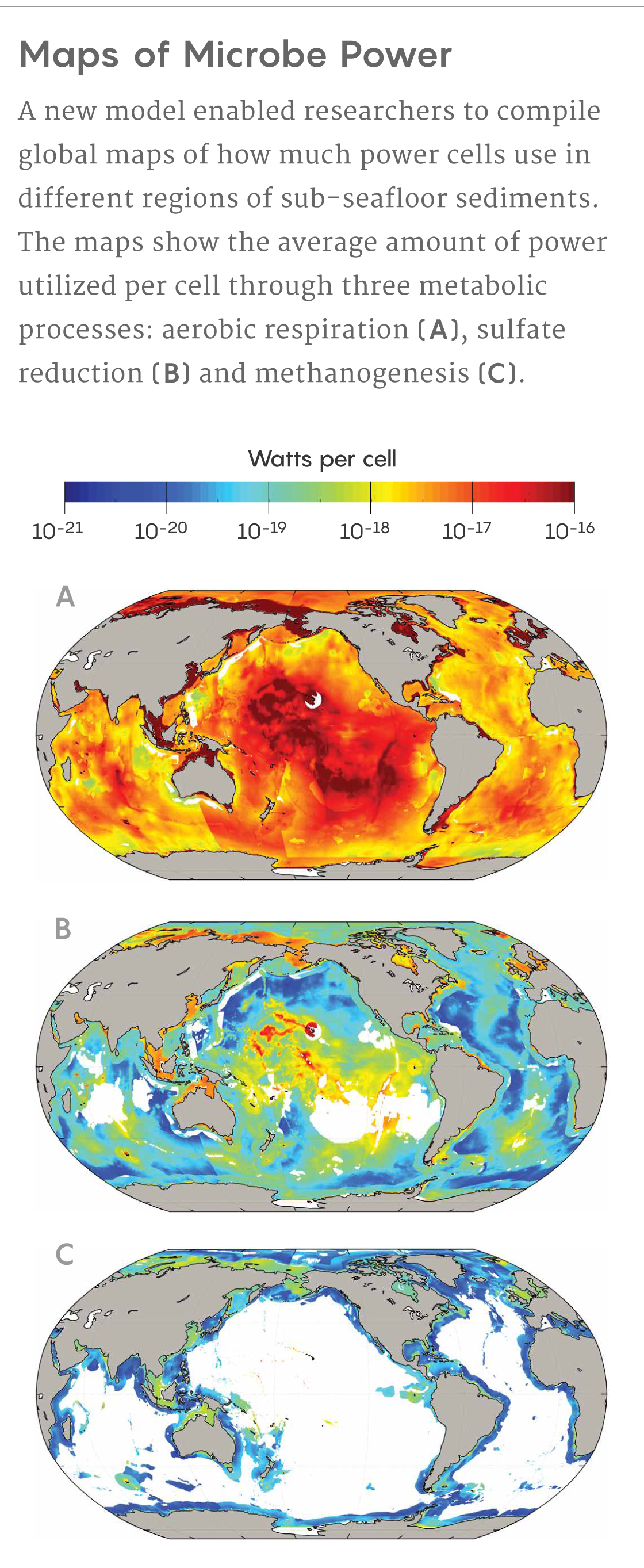 Maps of average power consumption per cell in sub-seafloor sediments.