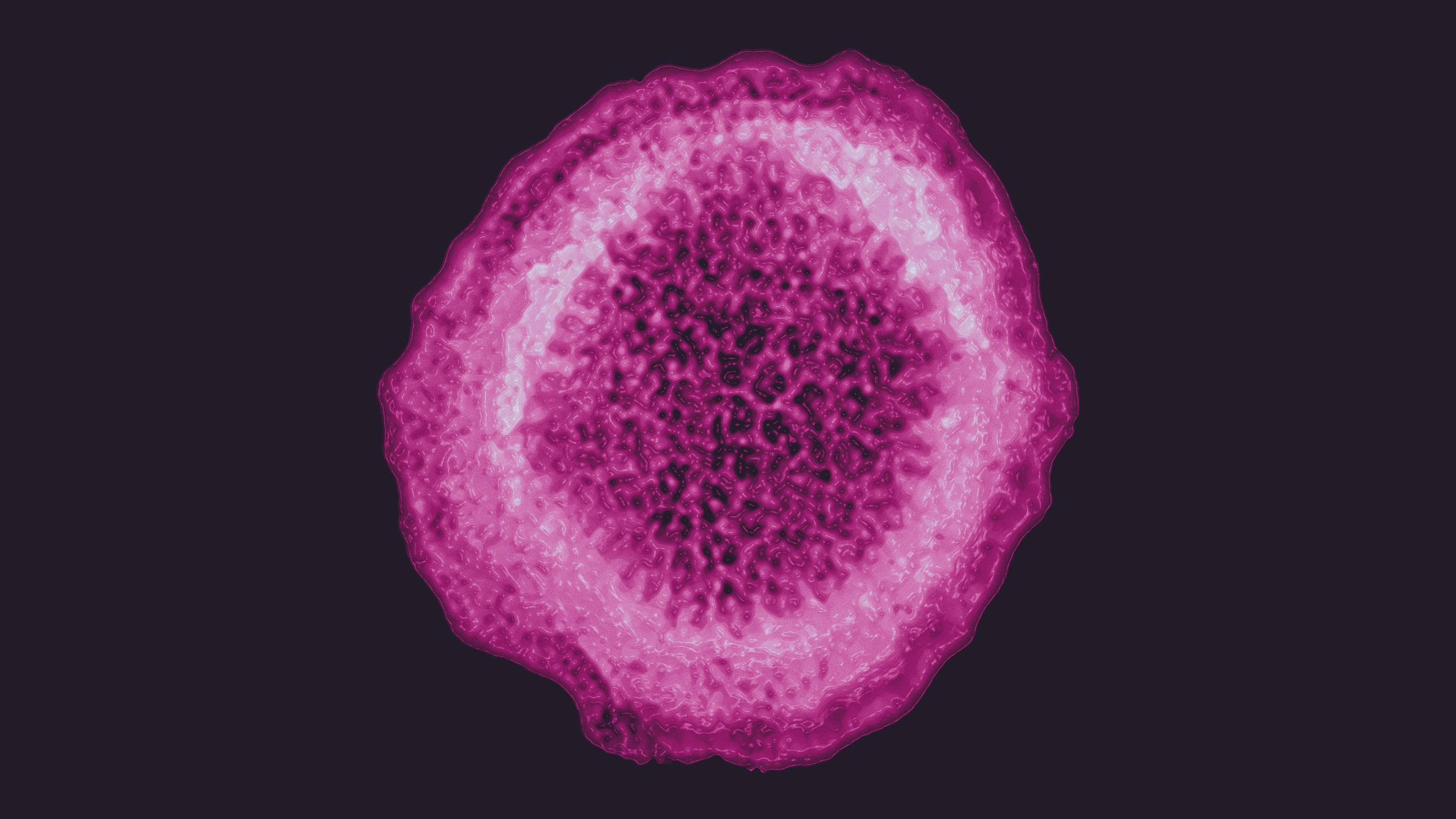 Electron micrograph of the hepatitis C virus.