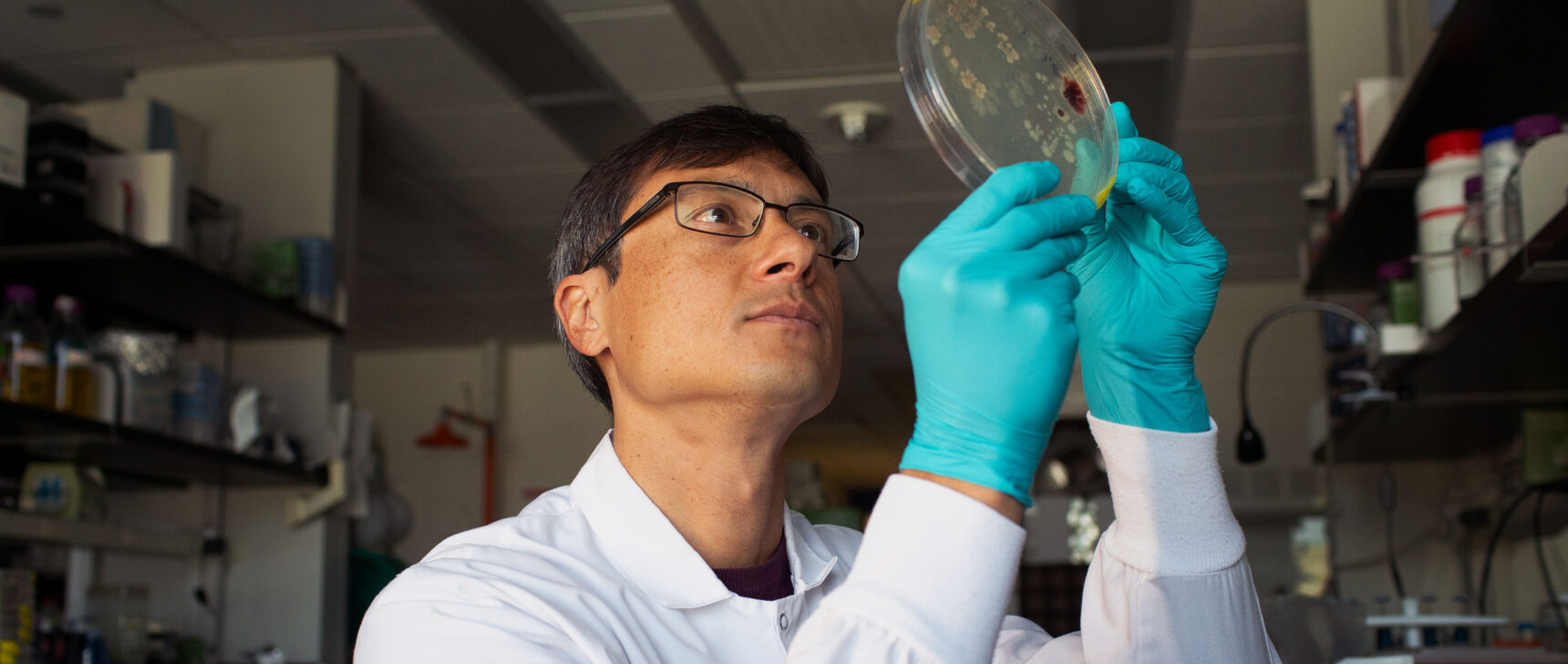 Jeff Gore looks at a culture dish in his laboratory at the Massachusetts Institute of Technology.