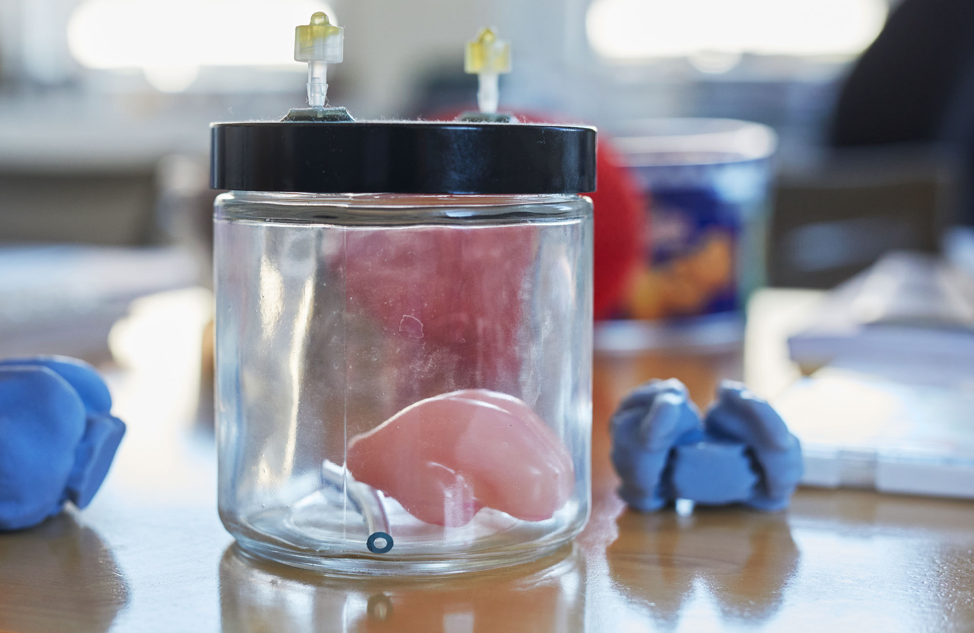 3D-printed brains sit on the desk in Mahadevan’s office