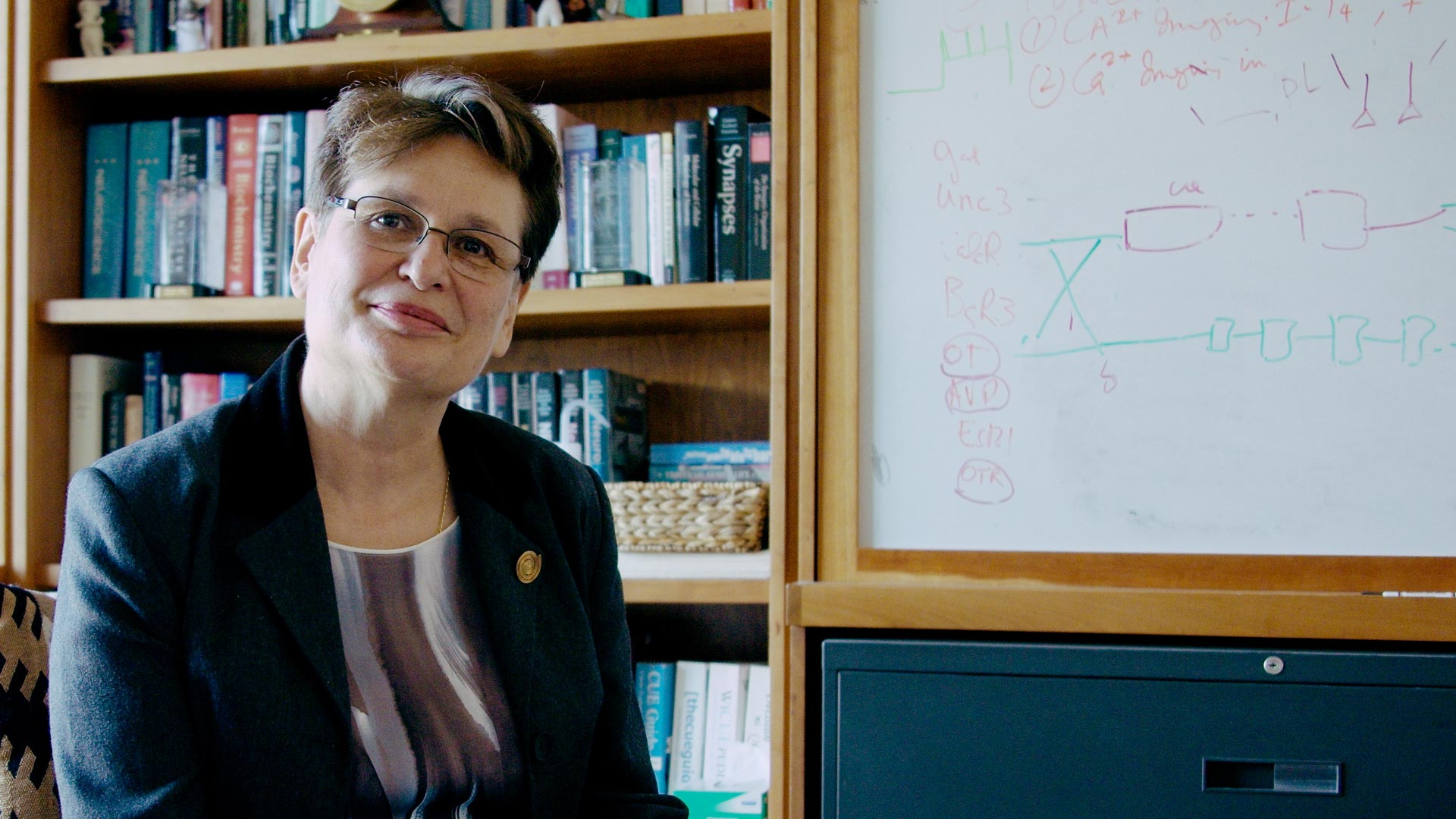 Profile video for neuroscientist Catherine Dulac.