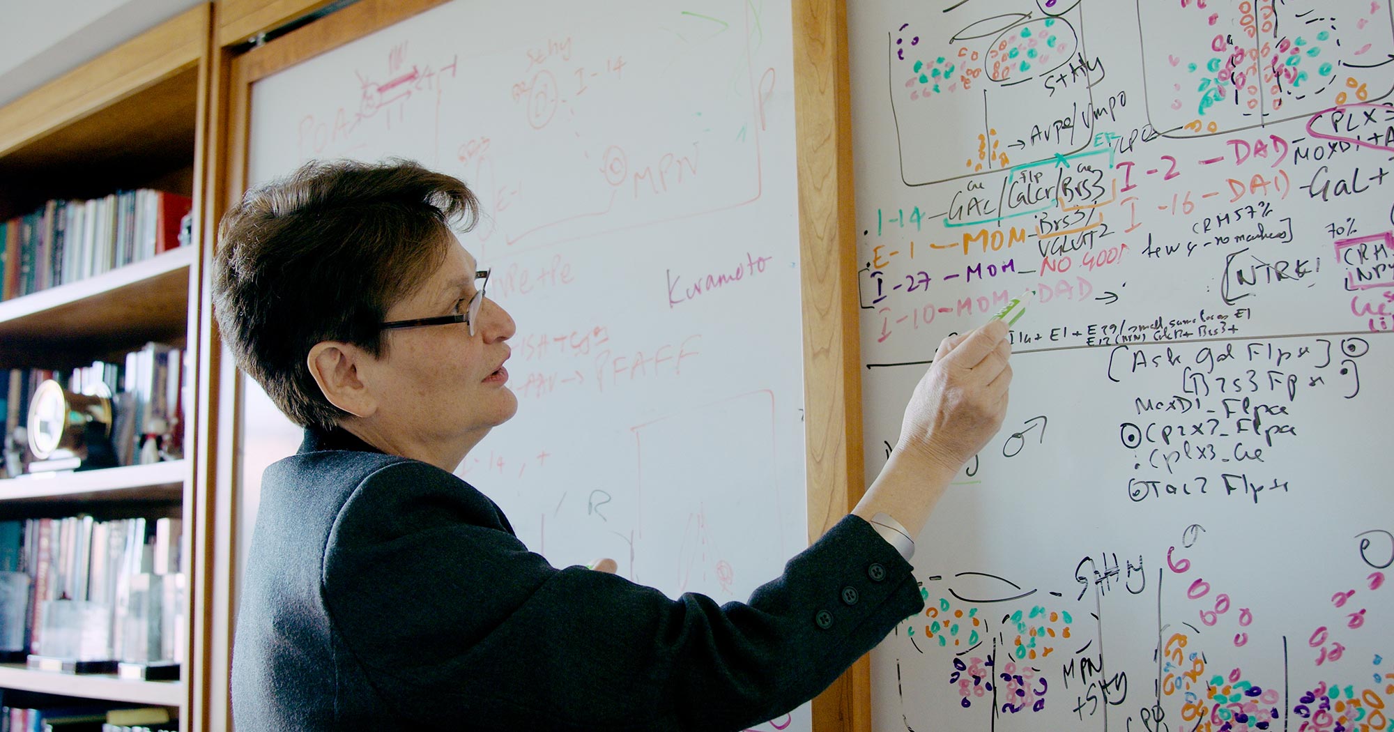 Photo of Catherine Dulac of Harvard University.