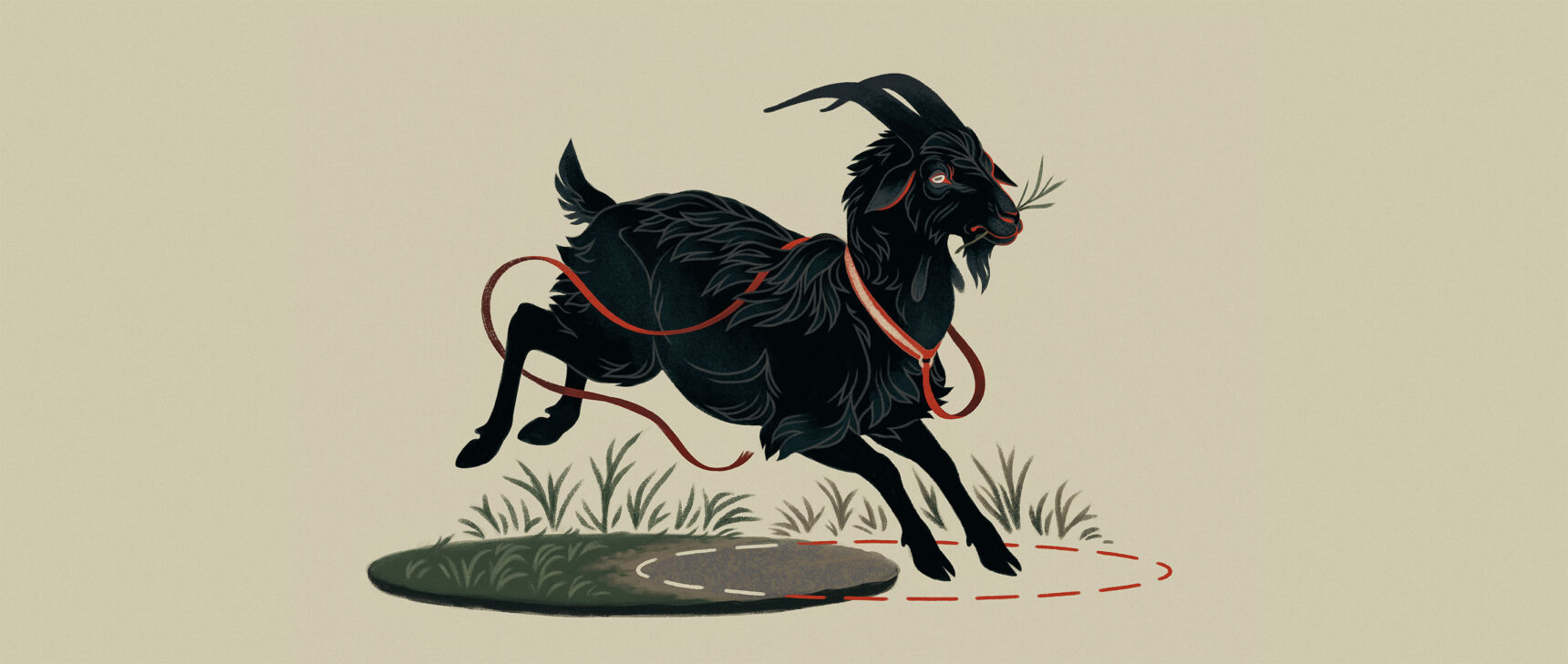 Illustration of a black goat with a red leash, grazing at the intersection of two circles