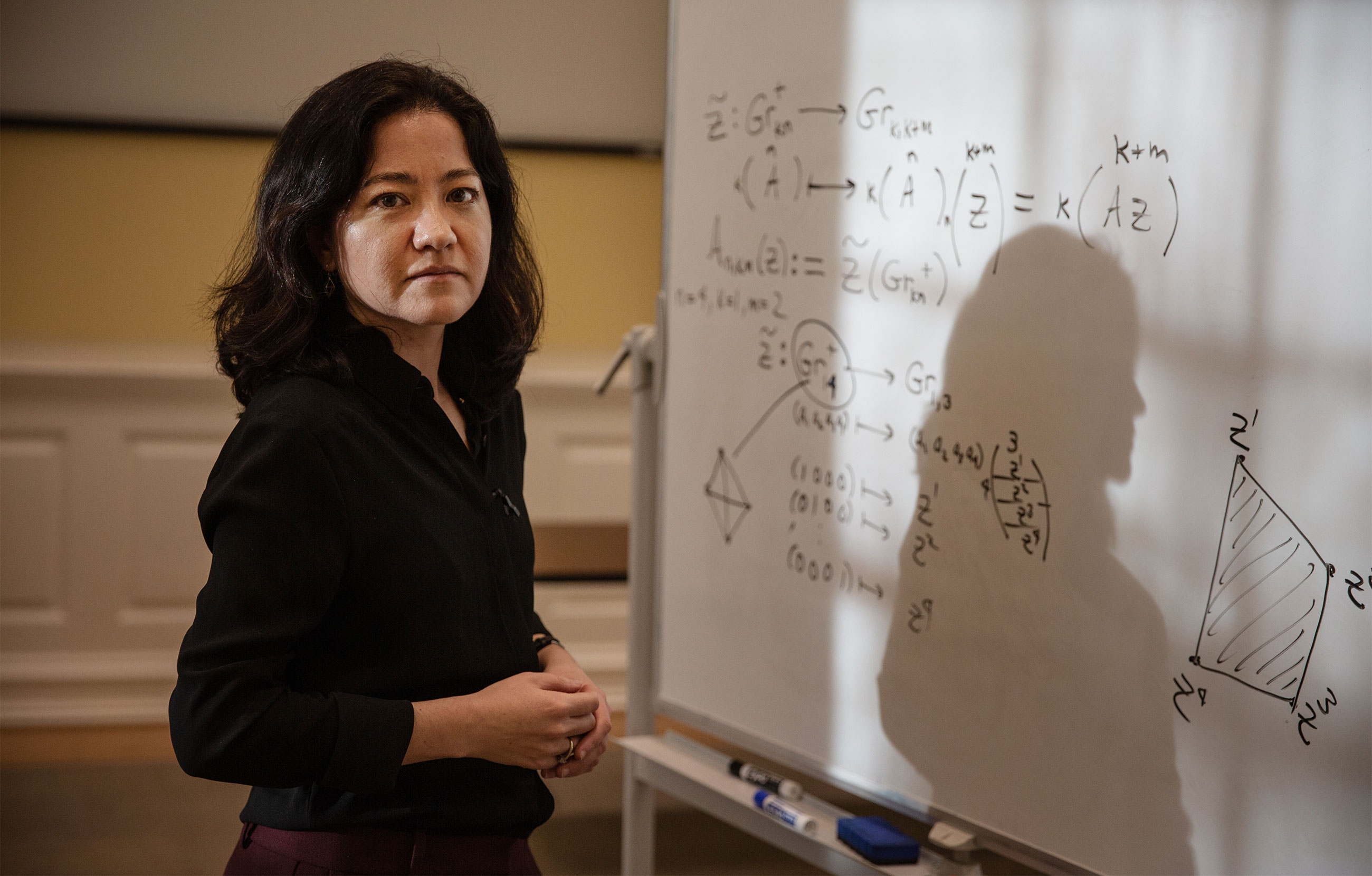 Mathematician Lauren Williams standing in front of a whiteboard that has mathematics written on it.