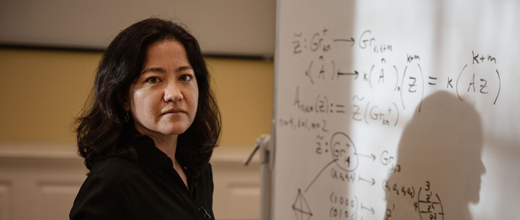 Mathematician Lauren Williams standing in front of a whiteboard that has mathematics written on it.