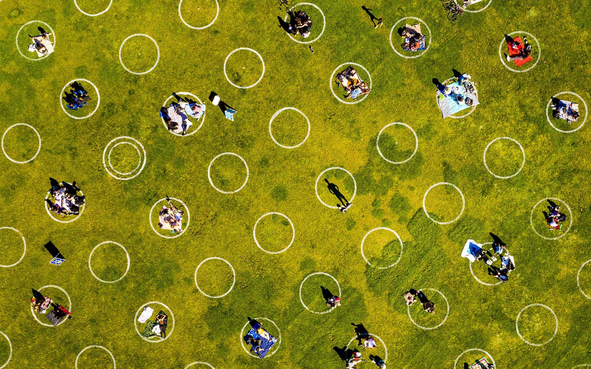 Aerial photo of small groups of people congregating on a green lawn in widely spaced circles.