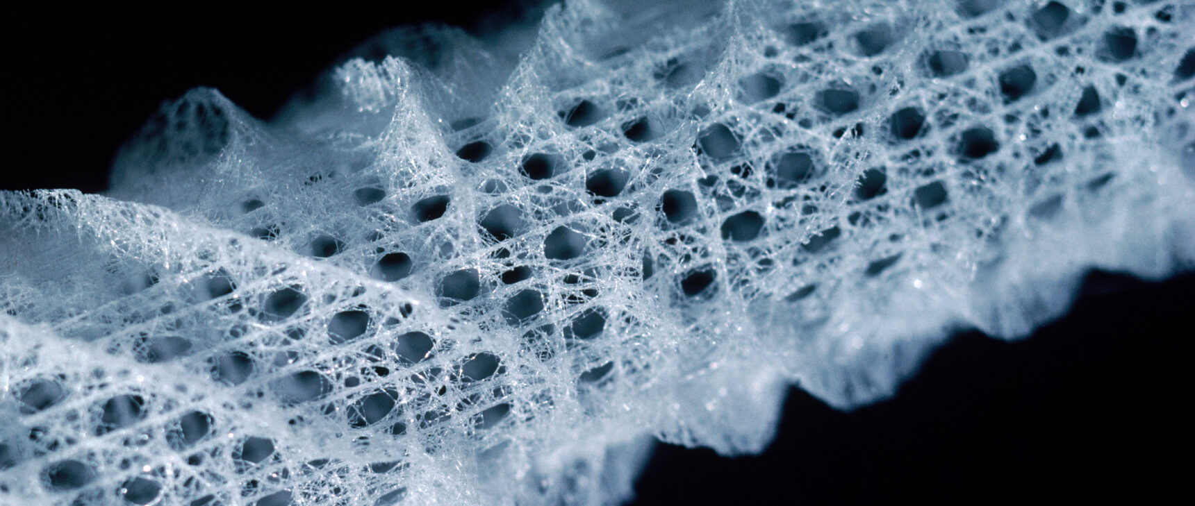 A hollow, cylindrical skeleton formed from a lattice of glass strands shown against a black background.