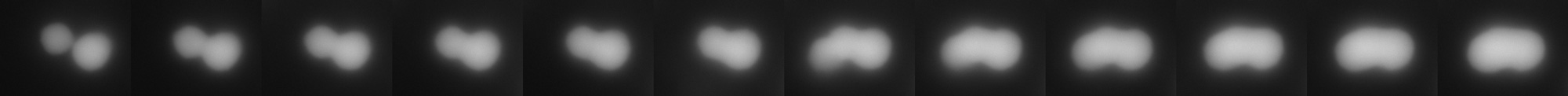 A series of images showing bacterial transcription factor acting like a fluid.