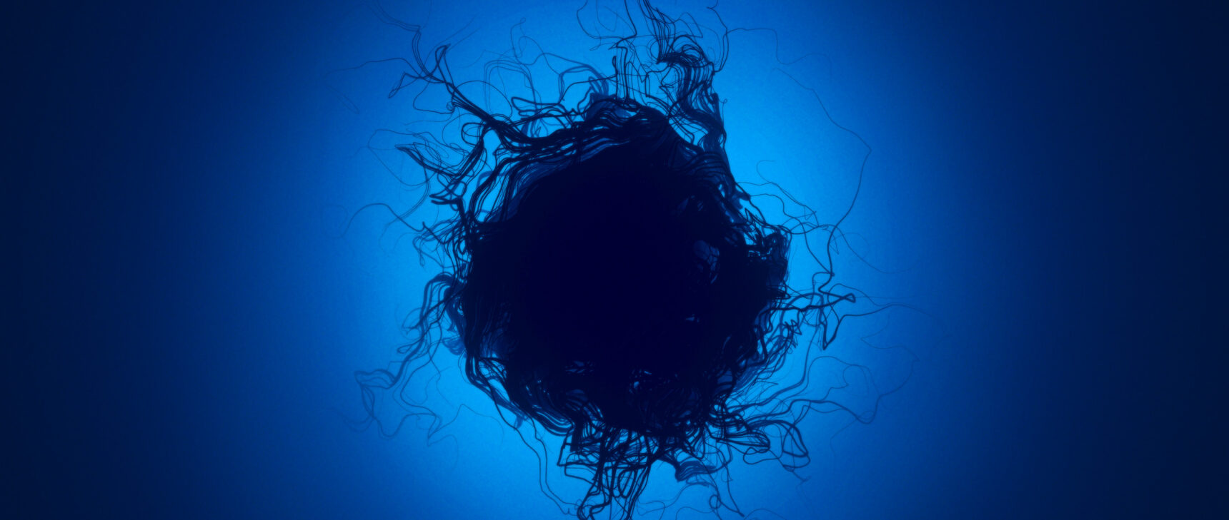 An abstract black ball on a blue background.