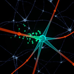 Animation of a neuron that periodically alters its responses to stimuli when it is reset into a new state by another input.