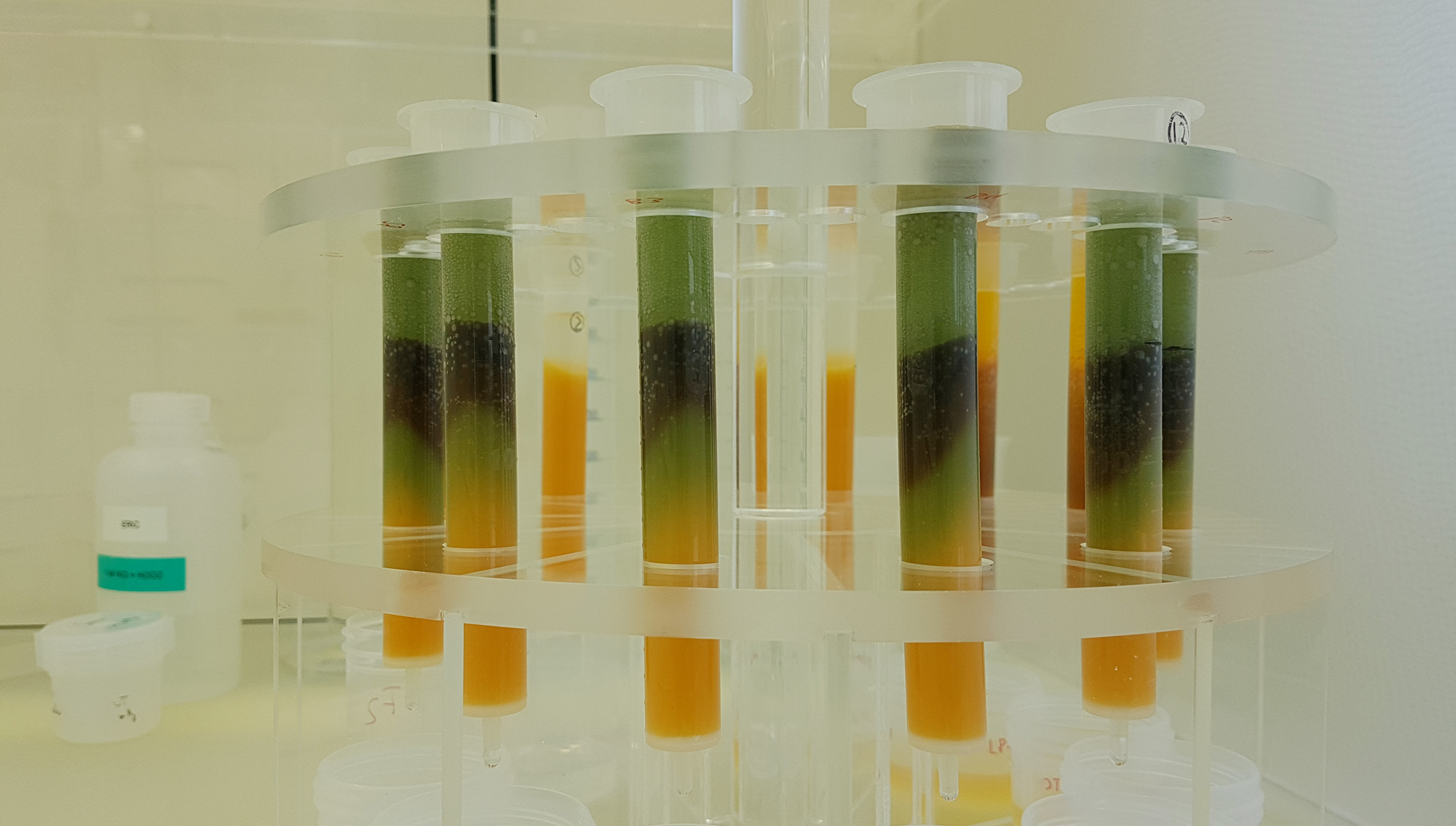 Several test tubes in a stand hold material that’s stratified into green, black and orange layers.