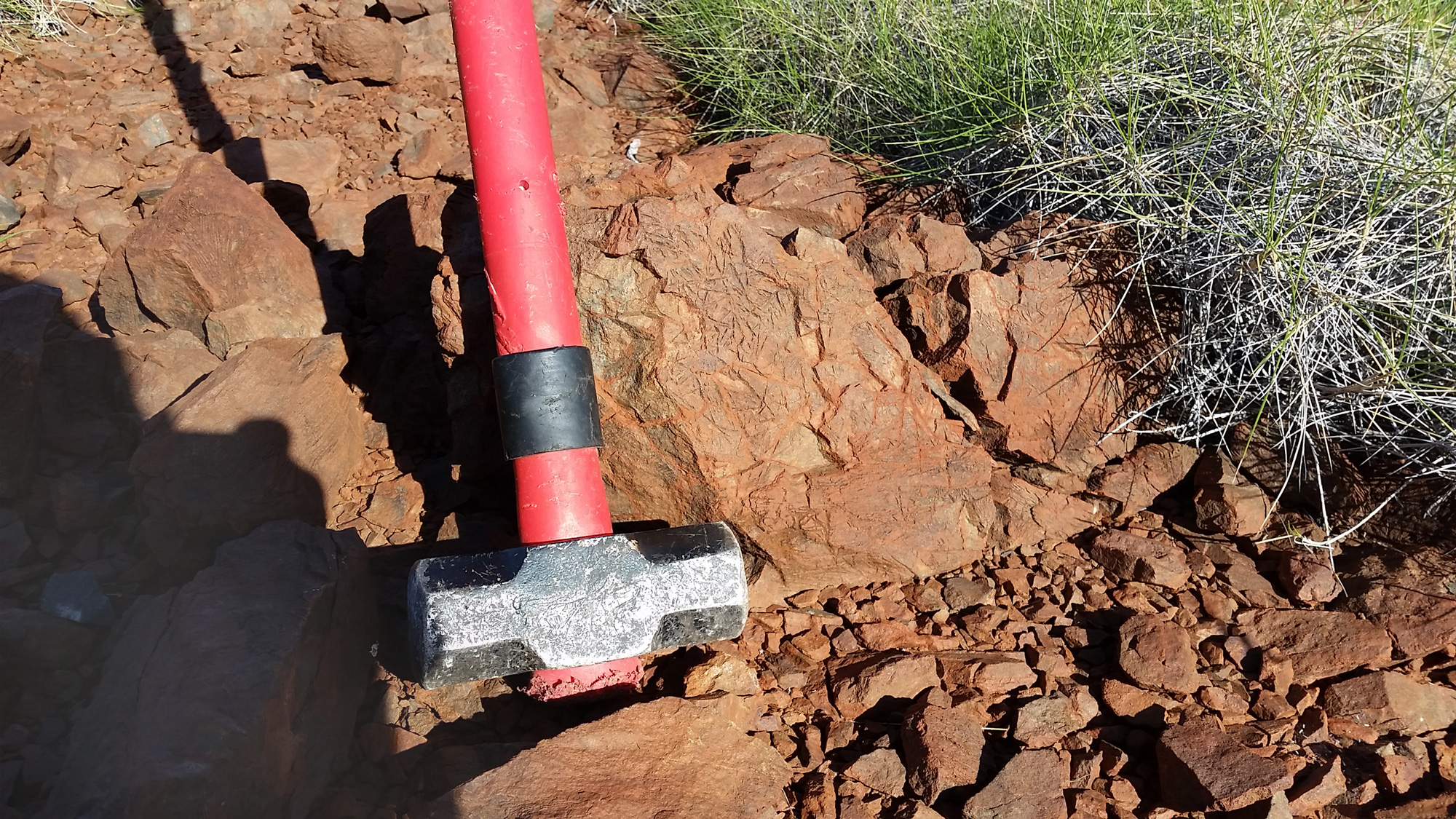 A hammer rests against a brown rock that’s crisscrossed with thin crystals. The rock rests on spiky spinifex grass.