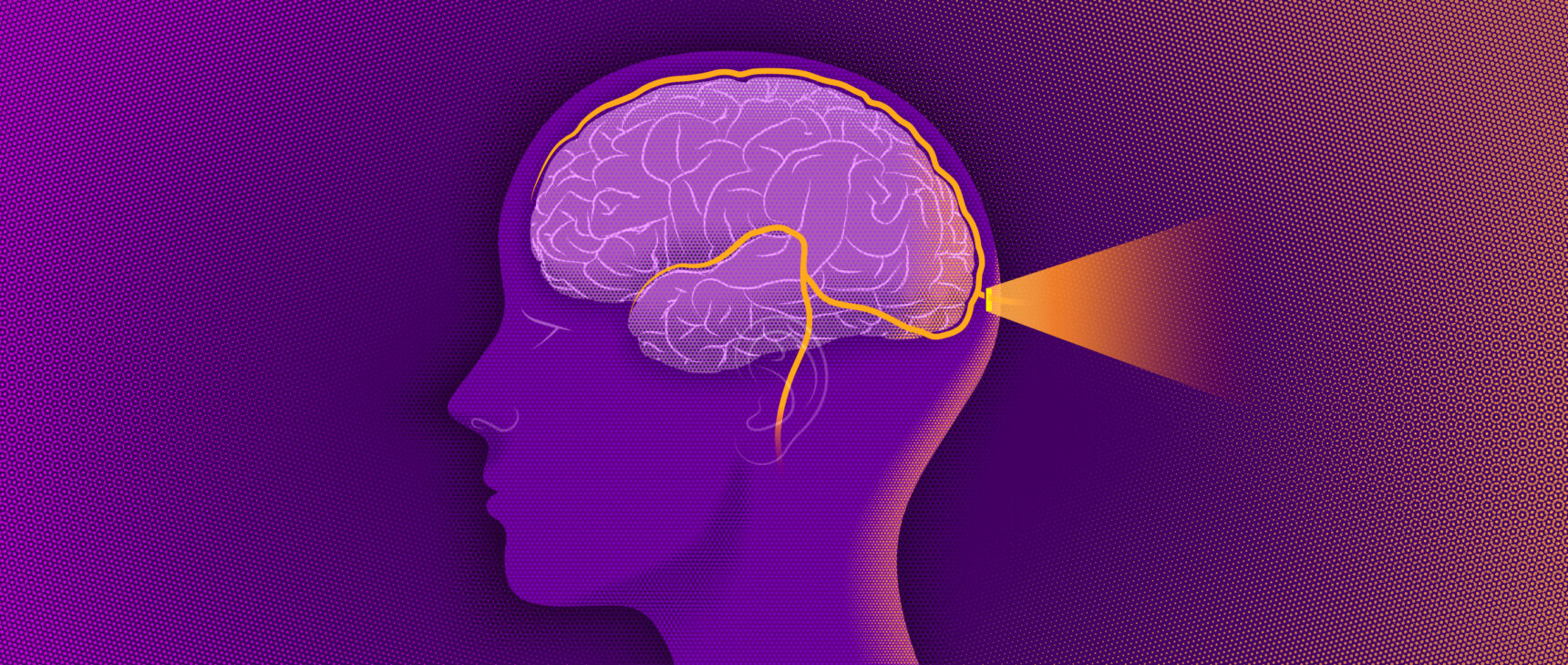 An illustration of a brain bordered by a network of lymphatic vessels. A door at the back of the brain lets light in.