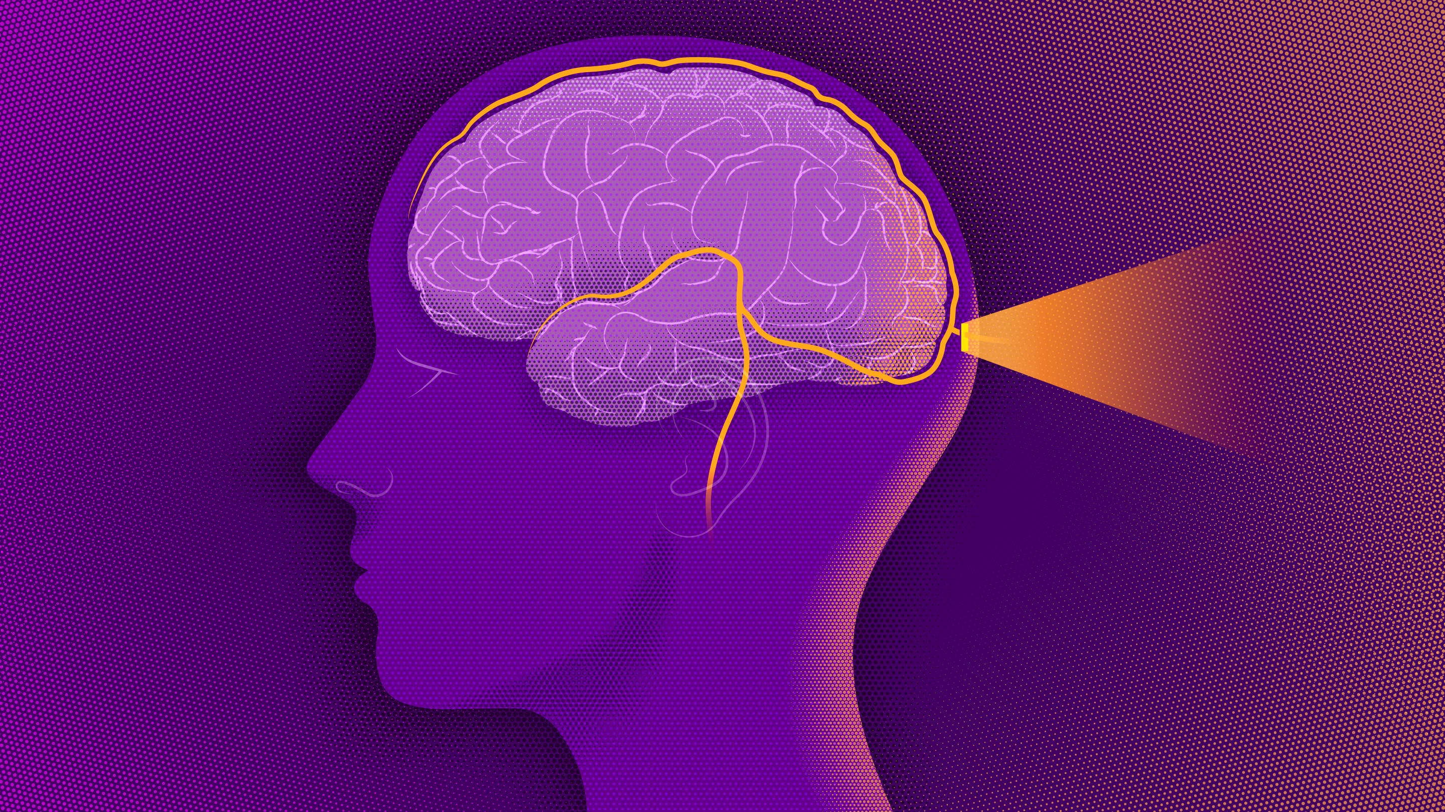 An illustration of a brain bordered by a network of lymphatic vessels. A door at the back of the brain lets light in.