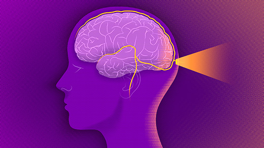 An illustration of a brain bordered by a network of lymphatic vessels. A door at the back of the brain lets light in.