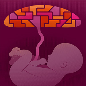 Illustration of a placenta that is a mosaic of different colors, with a connected fetus that is all one color.