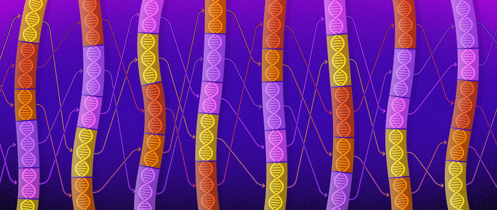 An illustration representing the genomic mobility of transposons.