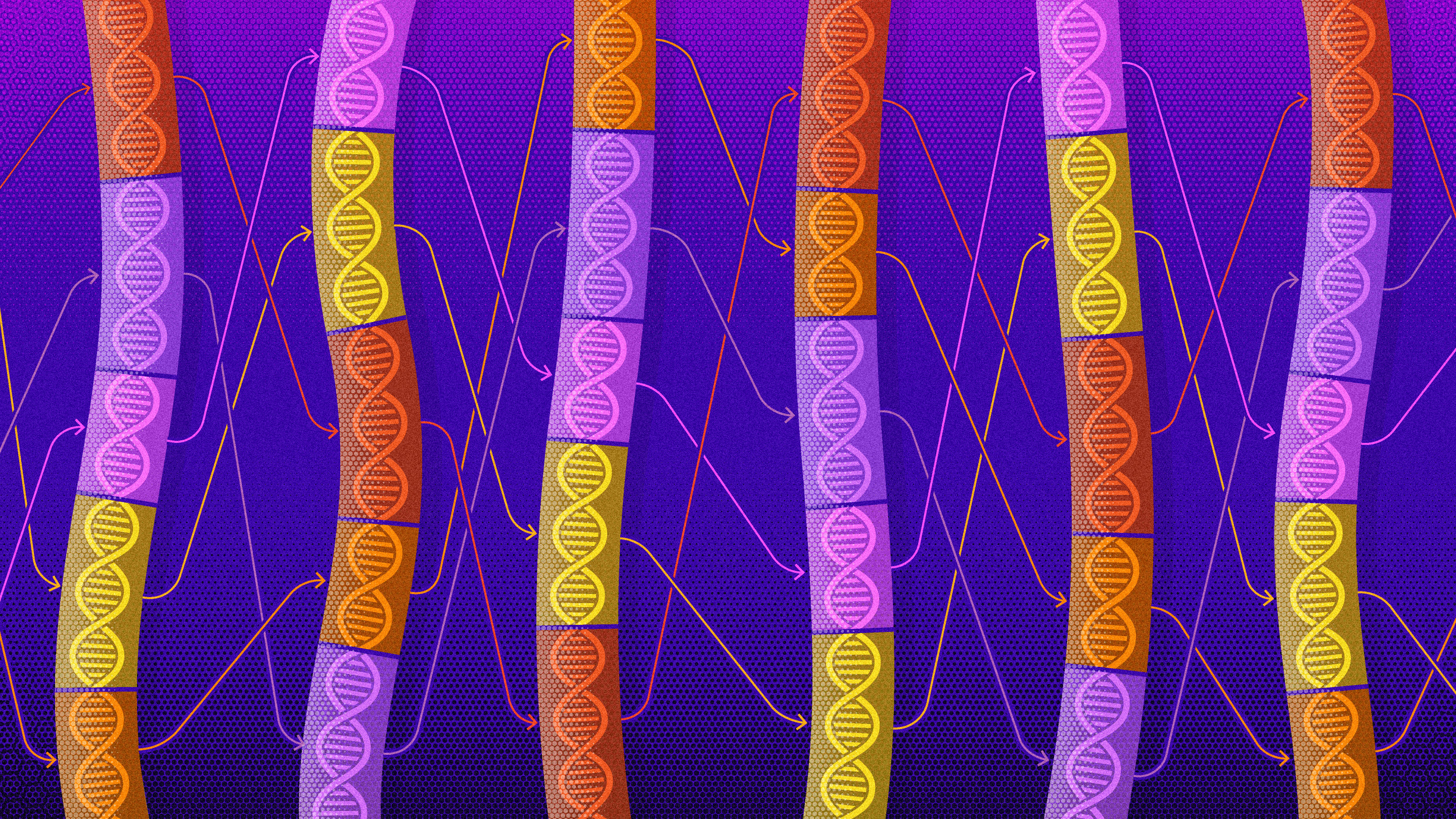 An illustration representing the genomic mobility of transposons.