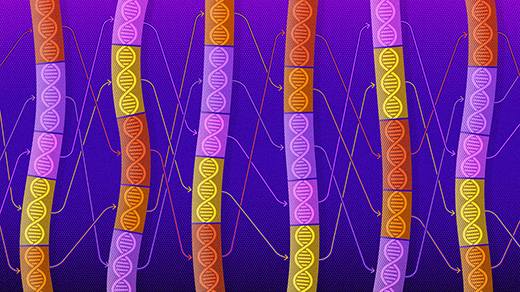 An illustration representing the genomic mobility of transposons.