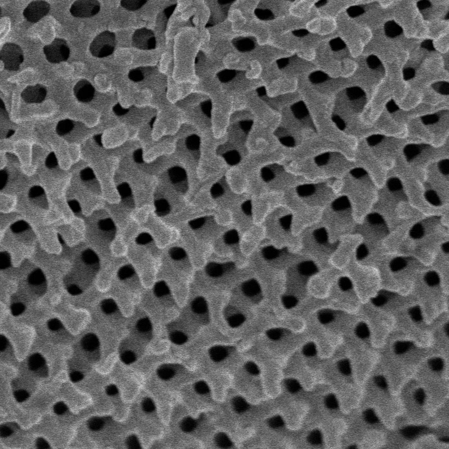 A micrograph of the crystalline structure found in leafbird feathers and a model of a single gyroid.